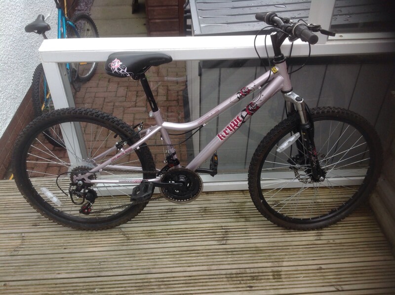 girls mountain bike halfords
